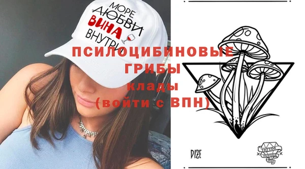 спиды Алексеевка