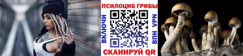 Галлюциногенные грибы MAGIC MUSHROOMS  hydra зеркало  Мураши 